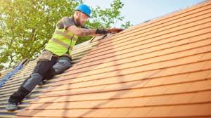 Best Skylight Installation and Repair  in Bloomington, TX