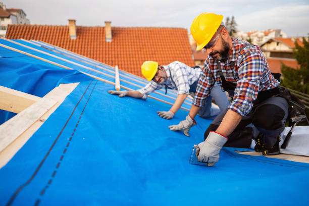 Best Roof Ventilation Installation  in Bloomington, TX